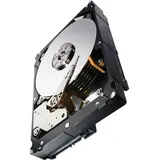 Seagate Constellation ES.3 1TB (ST1000NM0033)