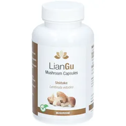 Liangu Shiitake-Pilz