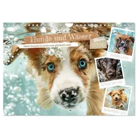 Calvendo Hunde und Wasser (Wandkalender 2026 DIN A4 quer),
