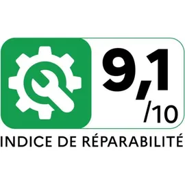 Rowenta Compact Power RO3951 EA