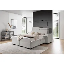 Fun Möbel Boxspringbett Bett NESTOR 180x200cm in Stoff Dress Me Silbergrau Set.1 - Grau