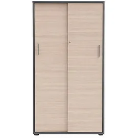 Schildmeyer Metz Aktenschrank 80,1 x 38,2 x 150 cm silber