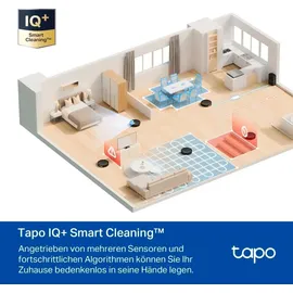 TP-Link Tapo RV30 Max schwarz