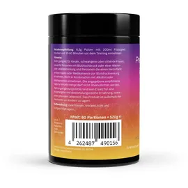 zytrion Pre-Workout Booster Apfel Pulver 520 g