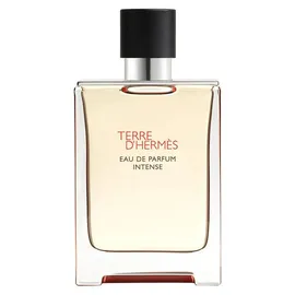 Hermès Terre d'Hermès Eau de Parfum Intense 100 ml