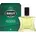Brut Original Eau de Toilette 100