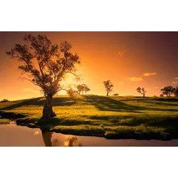 Fototapete PAPERMOON "Landschaft mit Fluss", bunt, B:4,50m L:2,80m, Vlies, Tapeten