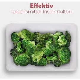 Pro Home Frischhaltedose rot 20 x 13 cm 1,25 l 3-teiliges Set