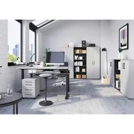 Germania Schreibtisch GW-Profi 3.0 Lichtgrau / Schwarz