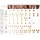 Jane Iredale Mineral-Foundation LSF 20 autumn 9,9 g