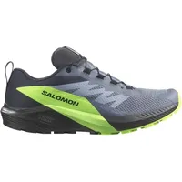 Salomon Sense Ride 5 Herren Grau / Grün / Schwarz 40