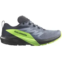 Salomon Sense Ride 5 Herren Grau / Grün / Schwarz 40