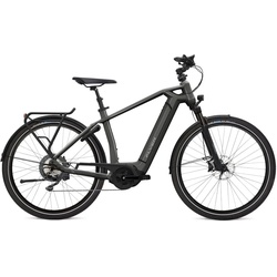 Flyer Gotour6 7.10 Grau Modell Aktion