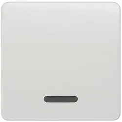 Siemens Wippe 5TG7800 mit Fenster titanweiss