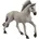 Sorraia Mustang Hengst 13915