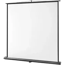 Celexon Ultramobil Professional, 120x120cm