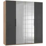 WIMEX Level 200 x 216 x 58 cm Plankeneiche Nachbildung/Grauglas mit Glas- und Spiegeltüren