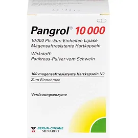BERLIN-CHEMIE Pangrol 10000