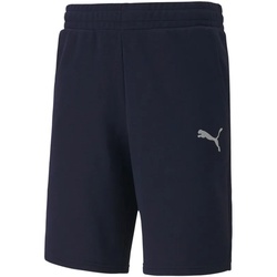 PUMA teamGOAL 23 Casuals Shorts peacoat L