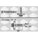 Sasic Riemenscheibenschraube 8704002