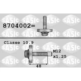 Sasic Riemenscheibenschraube 8704002