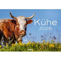 HEEL VERLAG Kühe 2026 Wandkalender Der Tierkalender mit den