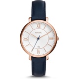Fossil Jacqueline