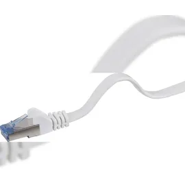 Renkforce RF-4149840 RJ45 Patchkabel CAT 6a U/FTP 1.00 m Grau hochflexibel, mit Rastnasenschutz, Flammwidrig 1 St.