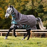 Horseware Amigo Bravo 12 Plus Turnout Medium 250g Disc, 130