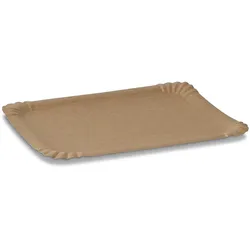 BIOZOYG 250 Stück Einwegteller 16 x 23 cm Pappteller, biologisch abbaubar, braun, rechteckig, recyclingfähig, robust Bioteller, Einweggeschirr