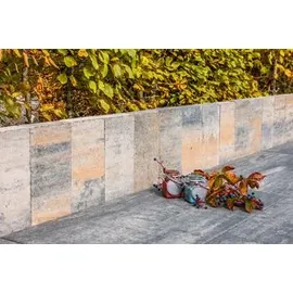 Diephaus Palisade 50 x 25 x 5 cm 1 Stück Beige