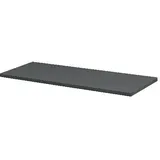 Dolle Wohnregale Regalboden Lite 80 x 30 cm 19 mm