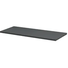 Dolle Wohnregale Regalboden Lite 80 x 30 cm 19 mm