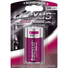 Tecxus Rechargeable D 10000 mAh 1 St.