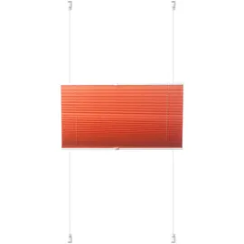 K-HOME Plissee Siena 70 x 210 cm orange