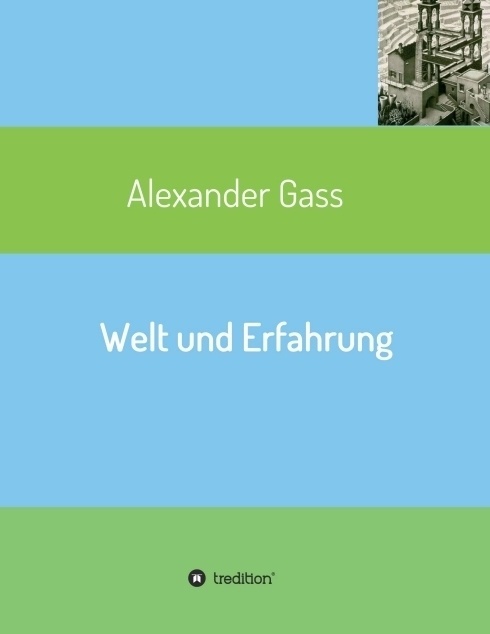 Welt Und Erfahrung - Alexander Gass  Kartoniert (TB)