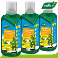 Westland Zitruspflanzen Dünger 500 ml
