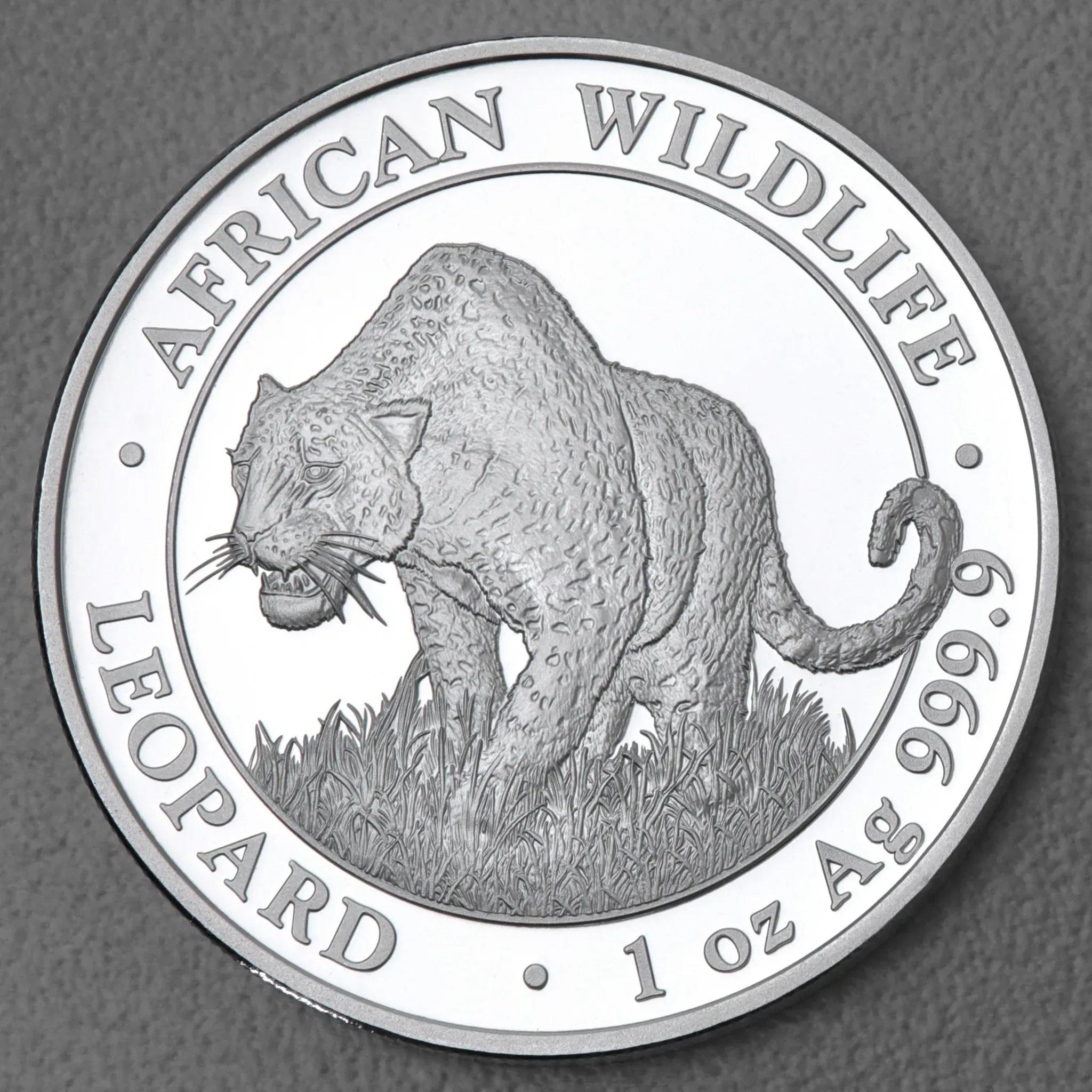 Silbermünze 1oz 