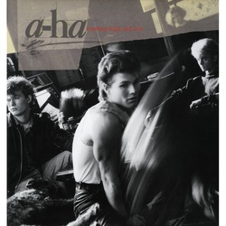 Hunting High And Low (Vinyl) - A-Ha. (LP)