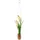 Creativ green Kunstblume CREATIV GREEN "Muscari in Hängevase", weiß, B:4cm H:35cm, Kunststoff, Kunstpflanzen