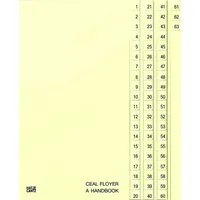 Hatje Cantz Ceal Floyer: A Handbook