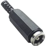 TRU Components Niedervolt-Steckverbinder Buchse, gerade 3.5mm 1.3mm 1St.