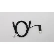 Lenovo USB-C Cable W/ Dongle TP,