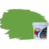 RyFo Colors Silikonharz Fassadenfarbe Lotuseffekt Trend Schilfgrün 1l - bunte Fassadenfarbe, weitere Grün Farbtöne und Größen erhältlich, Deckkraft Klasse 1