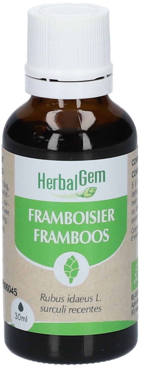 HERBALGEM - Framboisier Bio - Complément Alimentaire - Extrait De Bourgeon Frais - Pour Santé Féminine - 30 ml 30 ml goutte(s)
