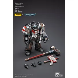 Warhammer Grey Knights Terminator Caddon Vibova 13 cm