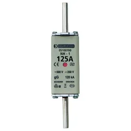PROTEC.class PSI NH1 TR 125A