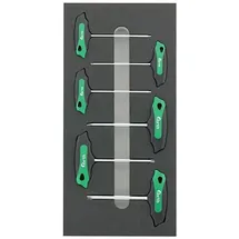 Fortis Werkzeugmodul 1/3 T-Griff Torx