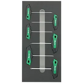 Fortis Werkzeugmodul 1/3 T-Griff Torx