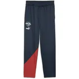 Puma RB Leipzig ftblCulture+ Trainingshose Herren 12 dark night/astro red XL